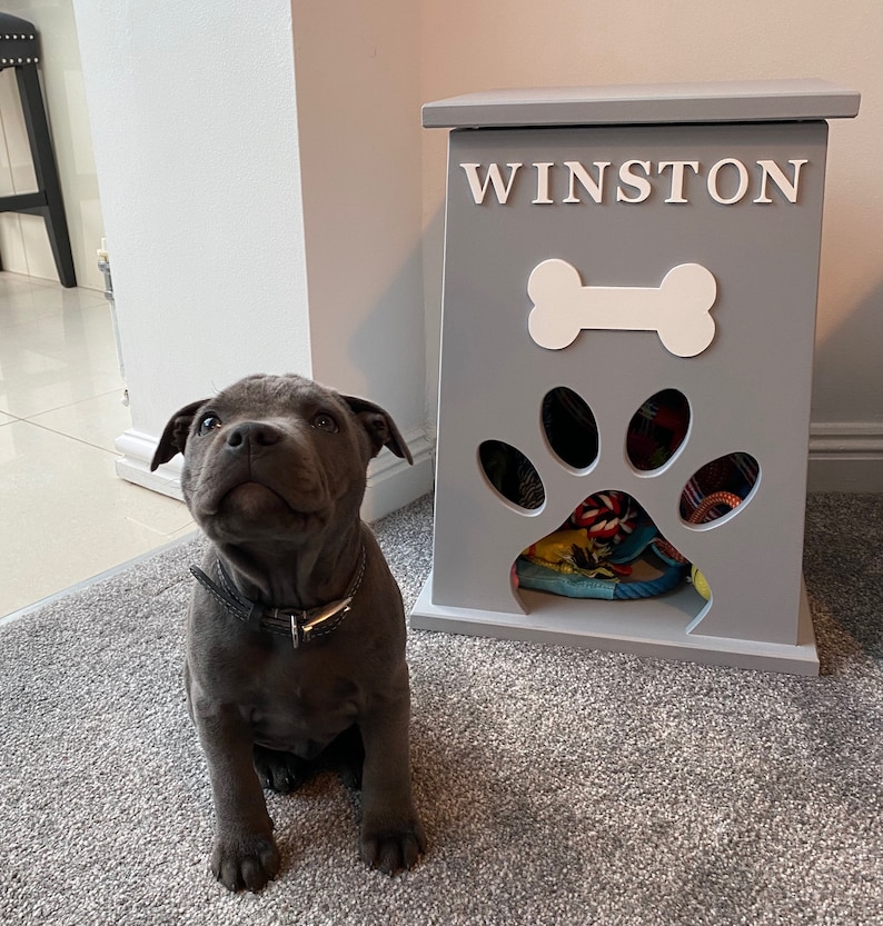 May include: A gray wooden dog toy storage box with a paw print cutout and a bone shape on the front. The box is labeled "Winston". A gray puppy sits in front of the box.