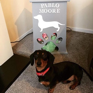 Peut inclure: Un coffre de rangement gris en bois pour jouets pour animaux de compagnie avec le nom "PABLO MOORE" en lettres blanches et une silhouette de teckel blanche. Le coffre a une d&eacute;coupe en forme de patte r&eacute;v&eacute;lant des jouets color&eacute;s. Un teckel noir et marron avec un collier rouge se tient devant.