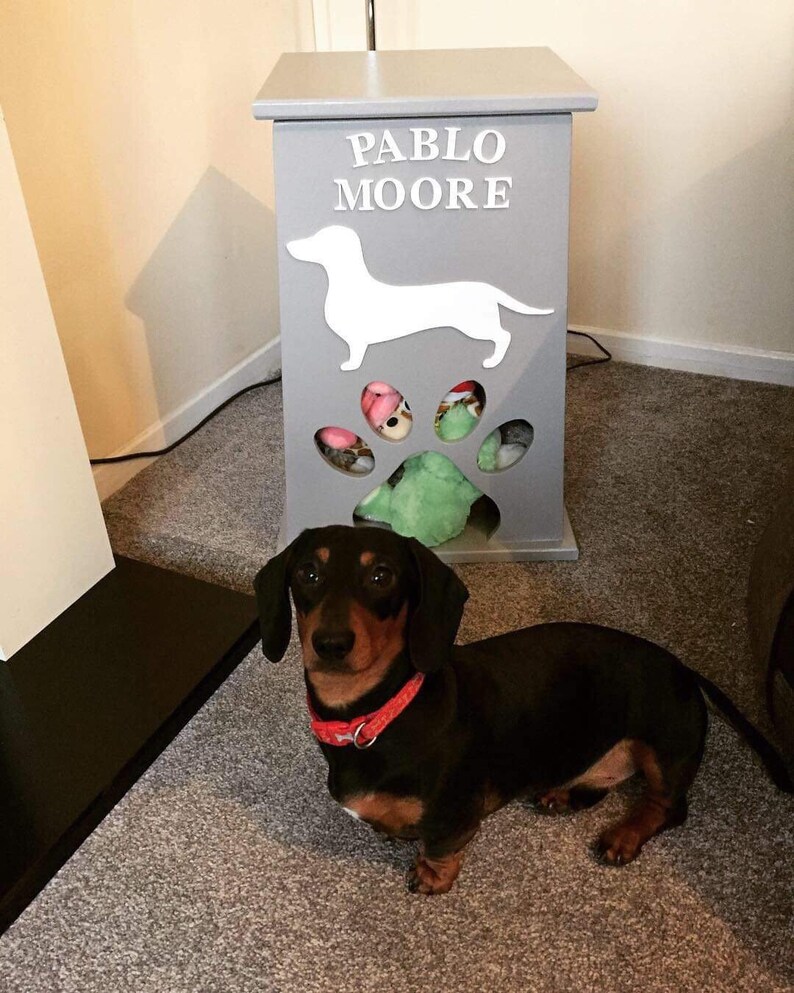 Peut inclure: Un coffre de rangement gris en bois pour jouets pour animaux de compagnie avec le nom "PABLO MOORE" en lettres blanches et une silhouette de teckel blanche. Le coffre a une d&eacute;coupe en forme de patte r&eacute;v&eacute;lant des jouets color&eacute;s. Un teckel noir et marron avec un collier rouge se tient devant.
