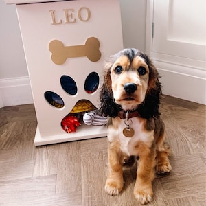 May include: A white wooden dog toy storage bin with a paw print cutout and a bone shape on the front. The bin is labeled "LEO". A brown and black cocker spaniel puppy is sitting in front of the bin.