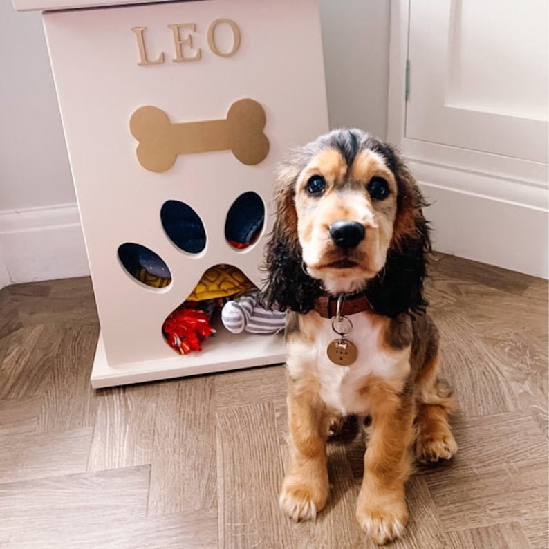 May include: A white wooden dog toy storage bin with a paw print cutout and a bone shape on the front. The bin is labeled "LEO". A brown and black cocker spaniel puppy is sitting in front of the bin.