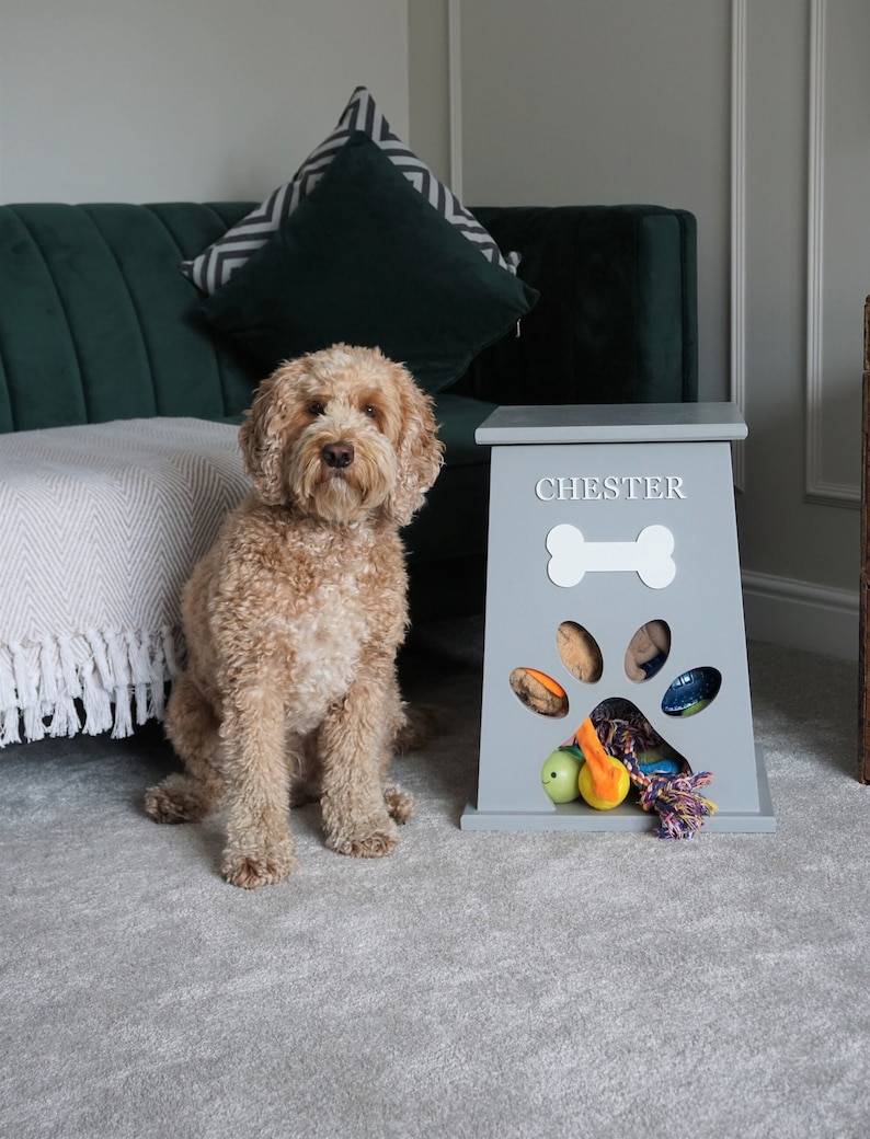 May include: A gray dog toy storage bin with a paw print cutout and the name "CHESTER" on the front. The bin is filled with various dog toys, including ropes, balls, and plush toys. A light brown dog is sitting in front of the bin.