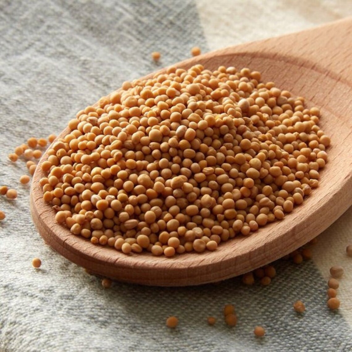 BEST INDIAN 100 NATURAL Yellow Mustard Seeds Pili Sarso Etsy