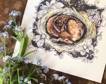 Sleeping fawn in a nest