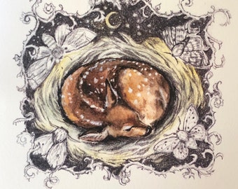 Sleeping fawn in a nest