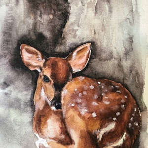 Watercolor fawn