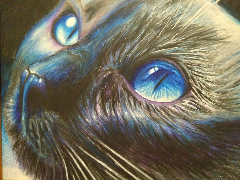 Handmade Pencil drawing Wall decor Art painting picture portrait black cat with blue eyes