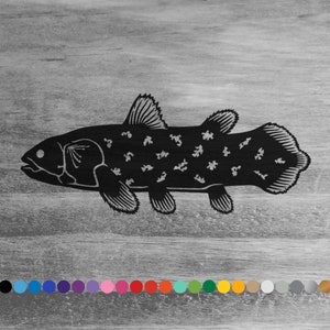 May include: Black silhouette of a coelacanth fish on a woodgrain background. The fish is facing left and has a spotted pattern. The image is surrounded by a row of colored circles.