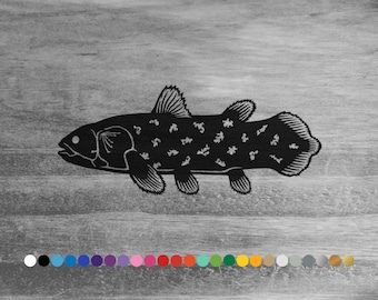 Coelacanth vinyl decal sticker for car truck rv camper van atv window bumper boat hull laptop wall door sea ocean fish art room home decor