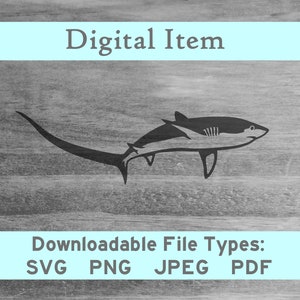 May include: Black and white silhouette of a shark with a long, curved tail. Digital download available in SVG, PNG, JPEG, and PDF formats.