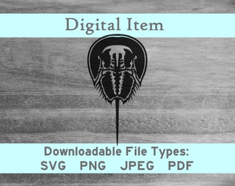 Horseshoe Crab svg png jpeg pdf digital file download-NOT a physical item-please read description- htv apparel craft vinyl cutter jpg art