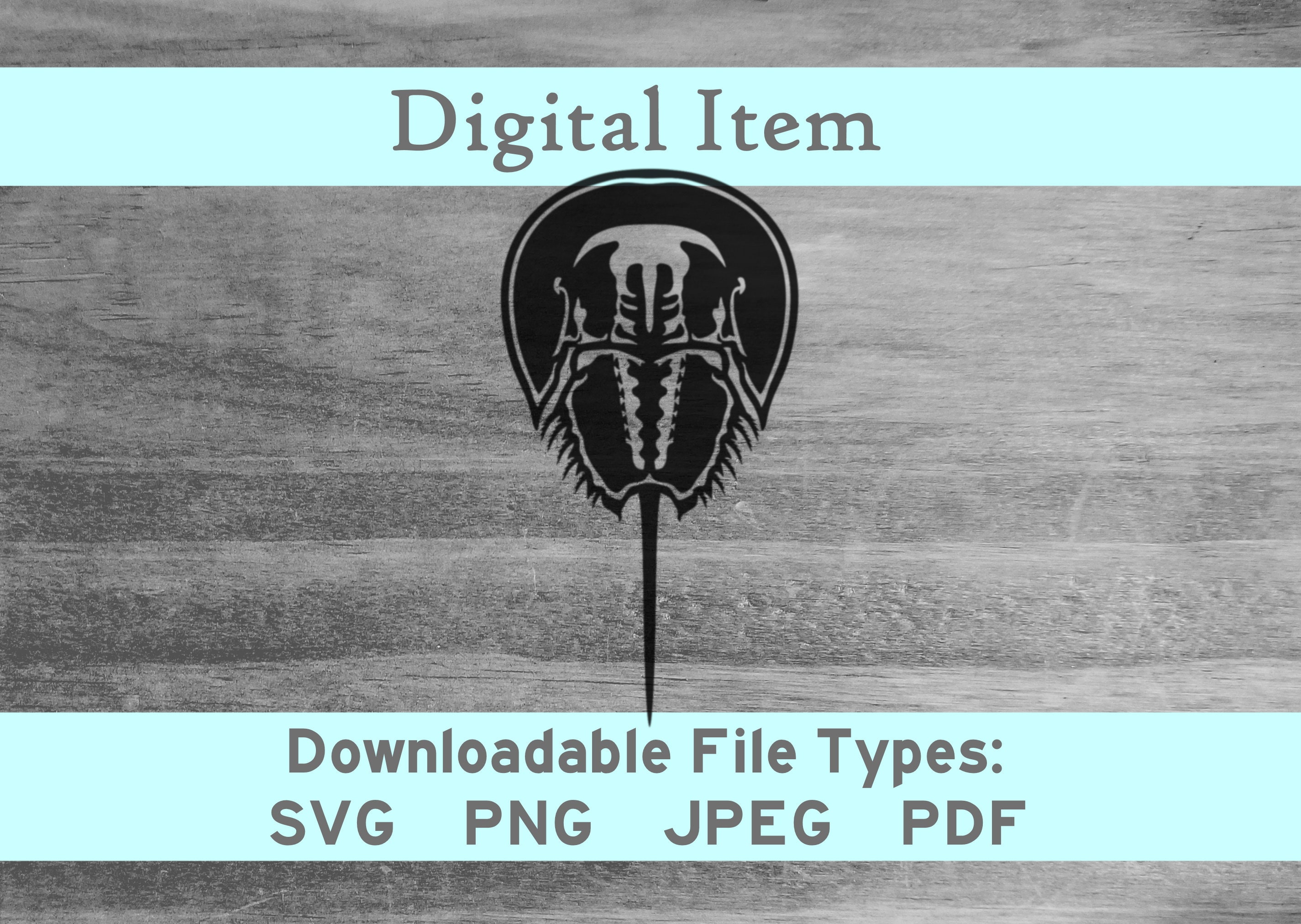 Horseshoe Crab svg png jpeg pdf digital file download -NOT a physical item-please read description- htv cnc jpg ocean sea art home decor pic