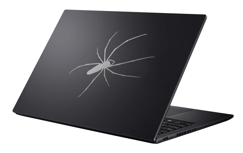 May include: Black laptop computer with a spider design on the lid.