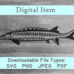 Sturgeon svg png jpeg pdf digital file download -NOT a physical item-please read description- cut vector diy jpg vinyl press htv fish image