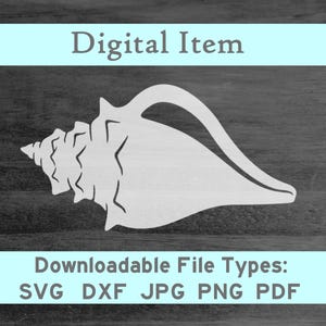 May include: A white seashell with a detailed, intricate design. The seashell is a digital download available in SVG, DXF, JPG, PNG, and PDF file formats.
