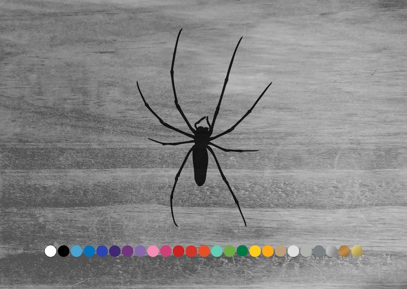 May include: Black silhouette of a spider with long legs on a woodgrain background. The spider is facing forward with its legs spread out.