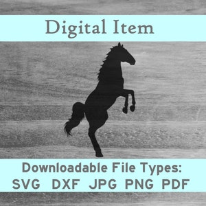 May include: Black silhouette of a horse rearing up on its hind legs.  Downloadable file types: SVG, DXF, JPG, PNG, PDF.
