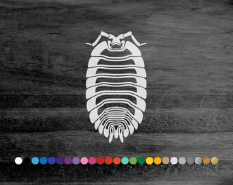 Pillbug sowbug vinyl decal sticker for car truck rv camper van atv window bumper boat hull cooler laptop room door wall animal art decor