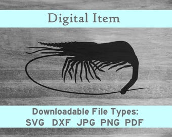 Shrimp svg dxf png jpeg pdf digital file download -NOT a physical item-please read description- sea animal art jpg htv shirt heat press cnc