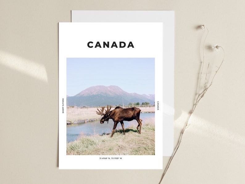 Canada Print Moose Poster Banff Wall Art Mountains Animal Etsy