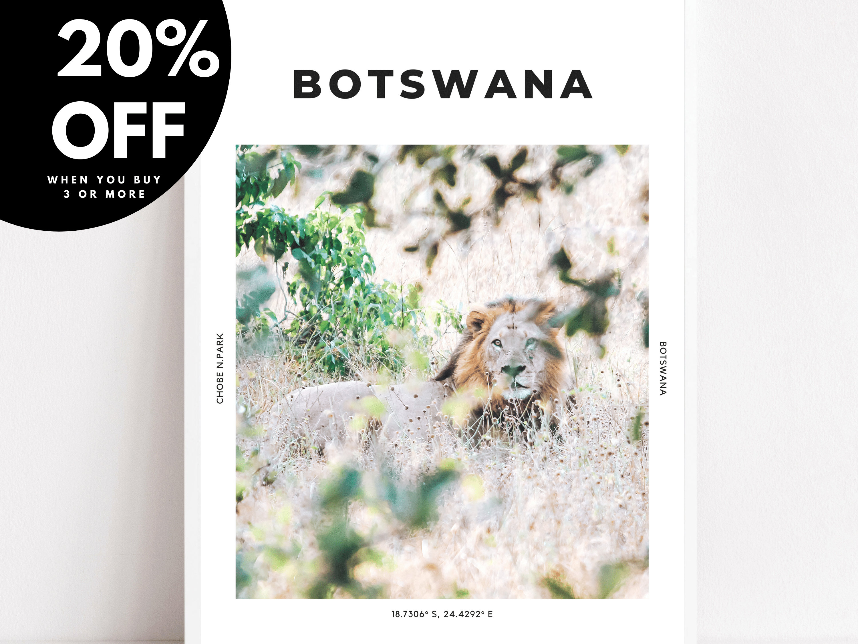 Botswana impresión cartel de león arte de la pared de | Etsy