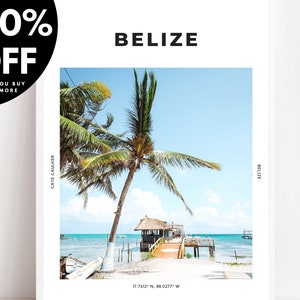 Belize Print, Caye Caulker Poster, Palm Tree Wall Art, Central America, Blue Green Decor Travel Prints Photography Coordinates Living Room