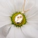 see more listings in the Botanical Flower Lockets section