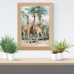 Giraffes, animals, Counted Cross Stitch Patterns - Printable Chart PDF Format Needlework Embroidery Crafts DIY DMC color