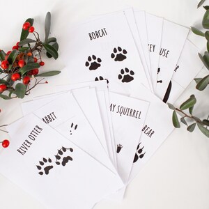 Animal Tracks Flash Cards--Printable Instant Download