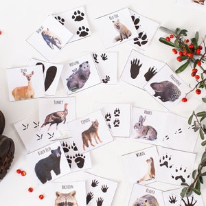 Animal Tracks Matching Game