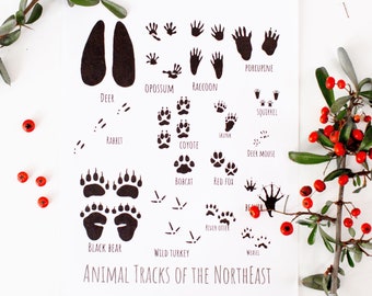 Animal Tracks Poster (sizes 8x11, 11x17, 20x30)