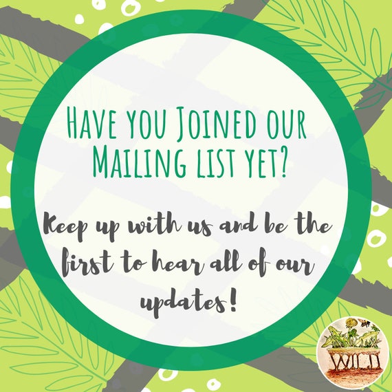 Songbirds of the Northeast U.S. Poster | Instant Download