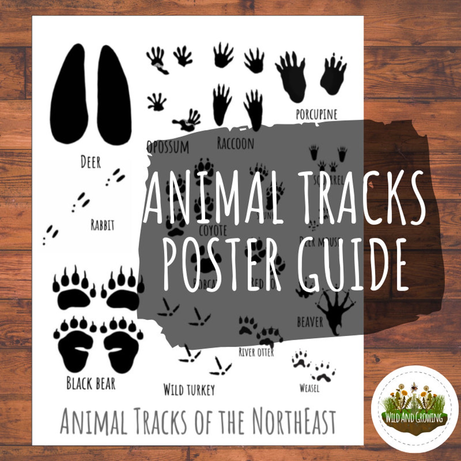 Animal Tracks Bundle Poster Flash Cards and Matching Game Etsy