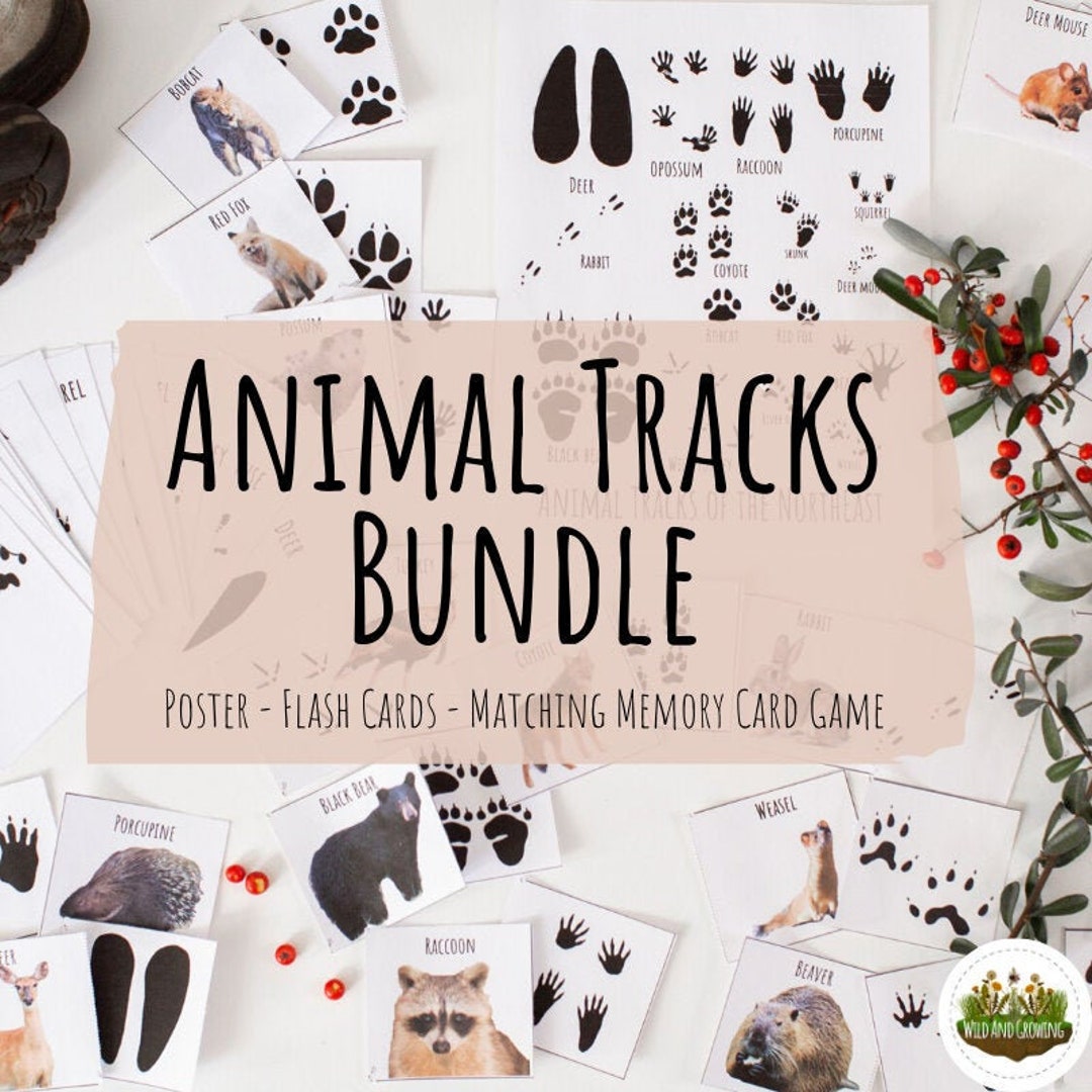 Animal Tracks Bundle Poster Flash Cards and Matching Game - Etsy animal-tracks-bundle-poster-flash-cards-and-matching-game-etsy