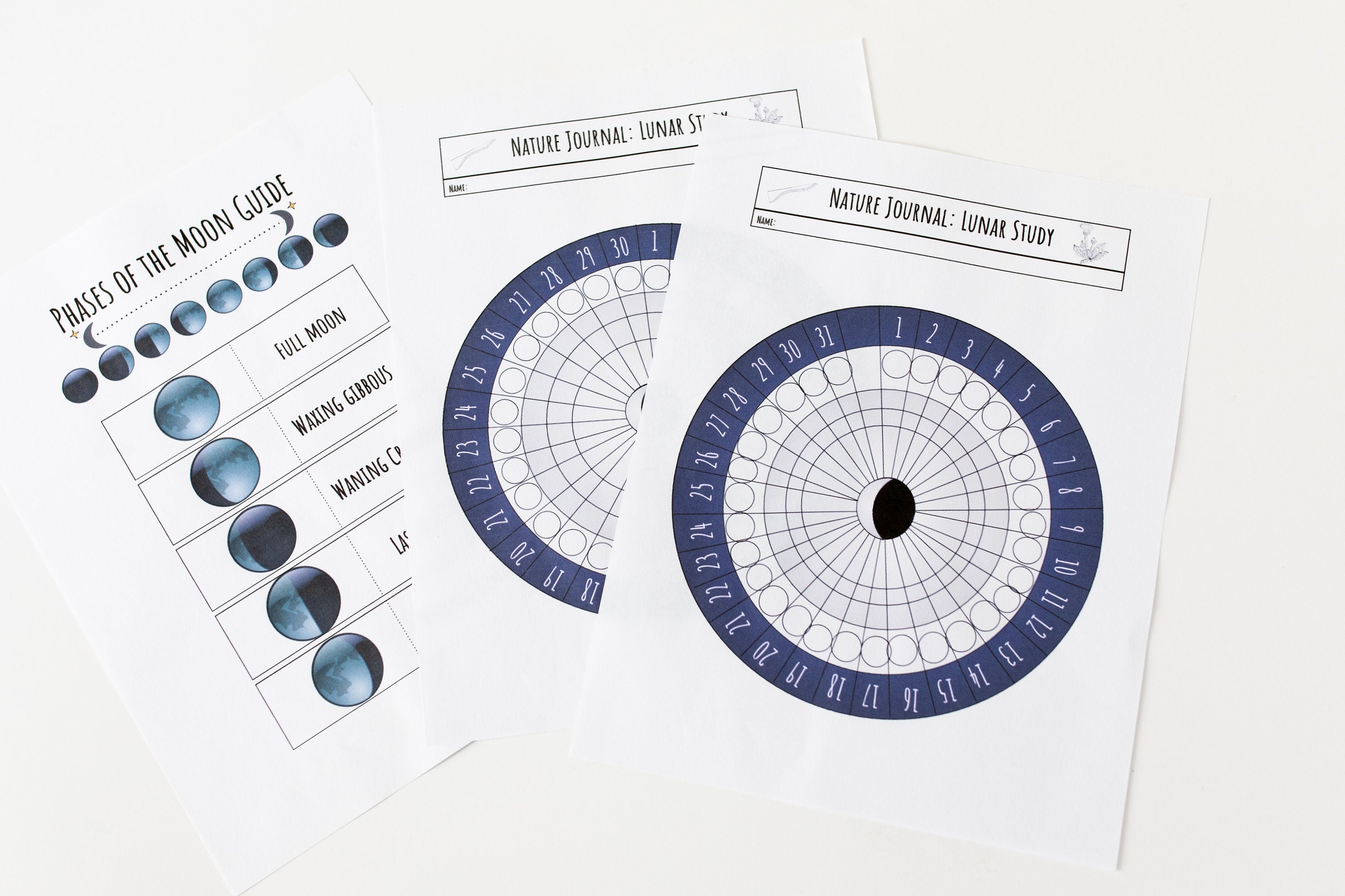 Lunar Phenology Wheel and Free Moon Phase Guide Insert for | Etsy