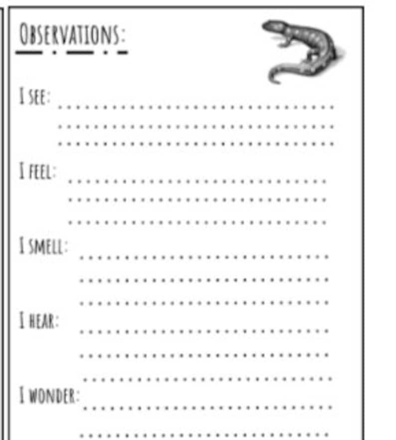 nature journal worksheet for kids printable instant