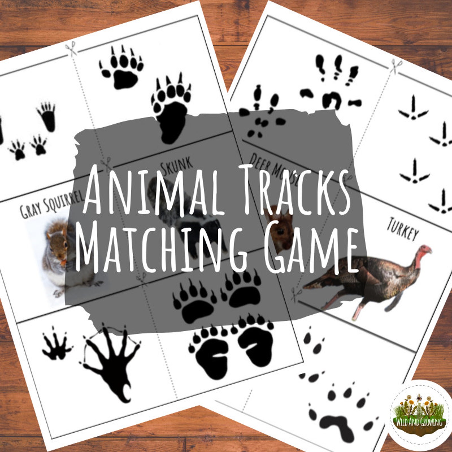 Animal Tracks Bundle Poster Flash Cards and Matching Game Etsy