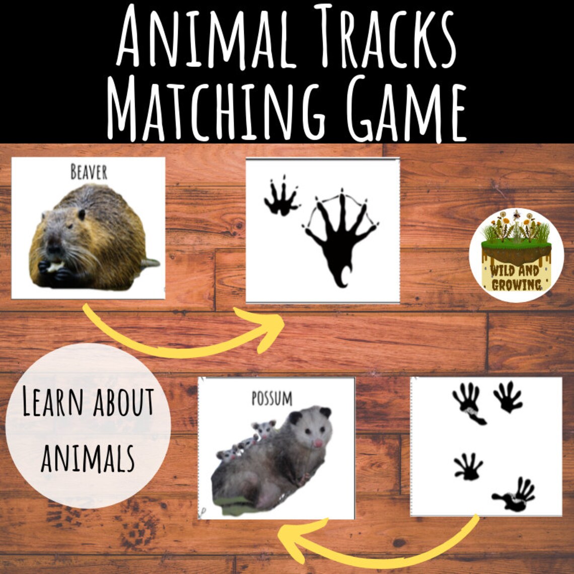 Animal Tracks Bundle Poster Flash Cards and Matching Game Etsy