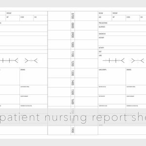 2 Patient Nursing Report Sheet