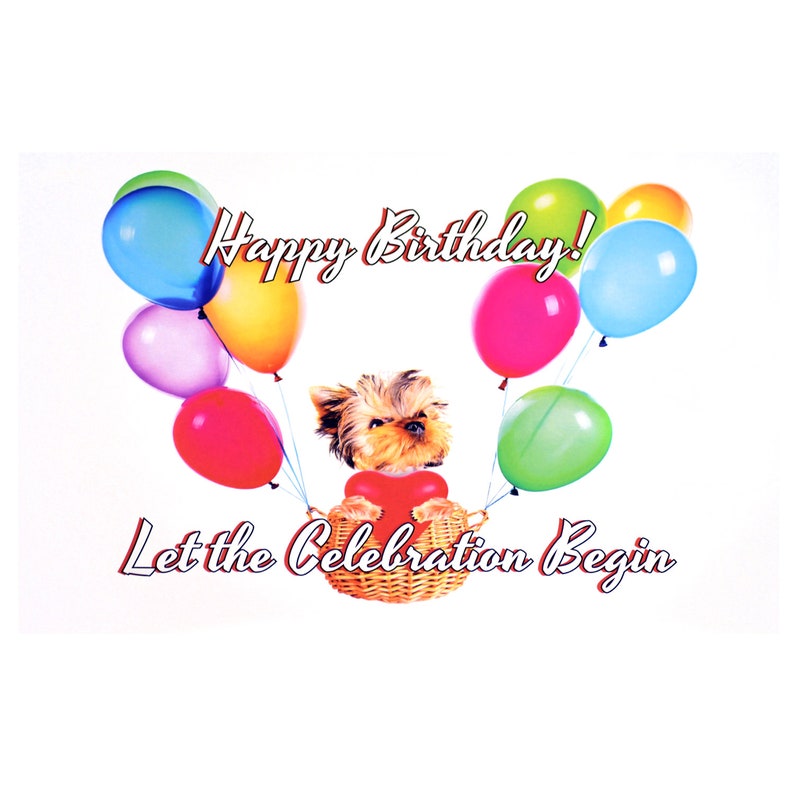 Madison/'s Collection Birthday Card