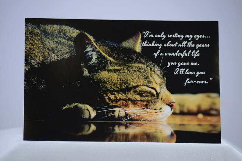 Madison/'s Collection Sympathy Card