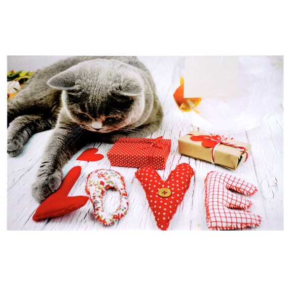 Madison/'s Collection Love and Care Card
