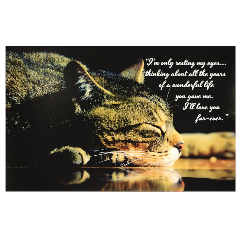 Madison/'s Collection Sympathy Card