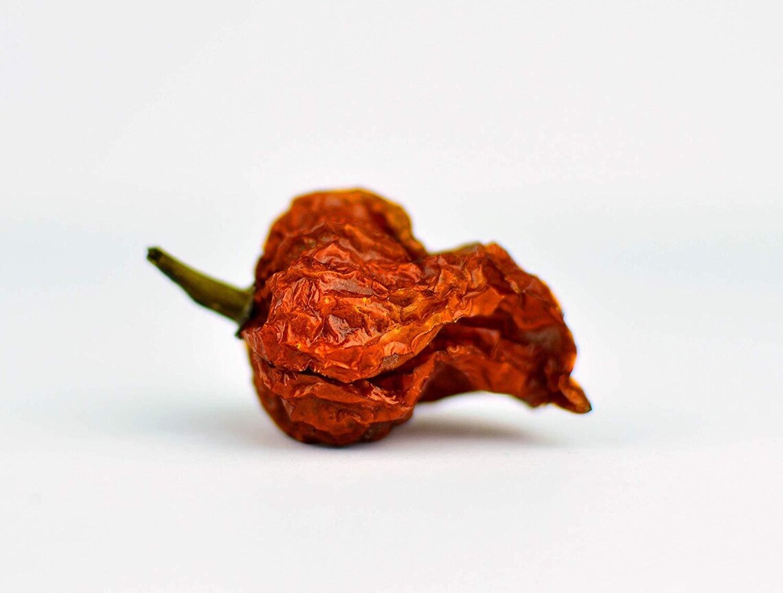 dried carolina reaper pepper pods 1 4 dried carolina reaper pepper pods 1 4