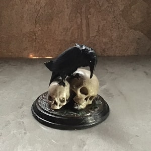 Small Raven on Skulls Halloween Decoration
