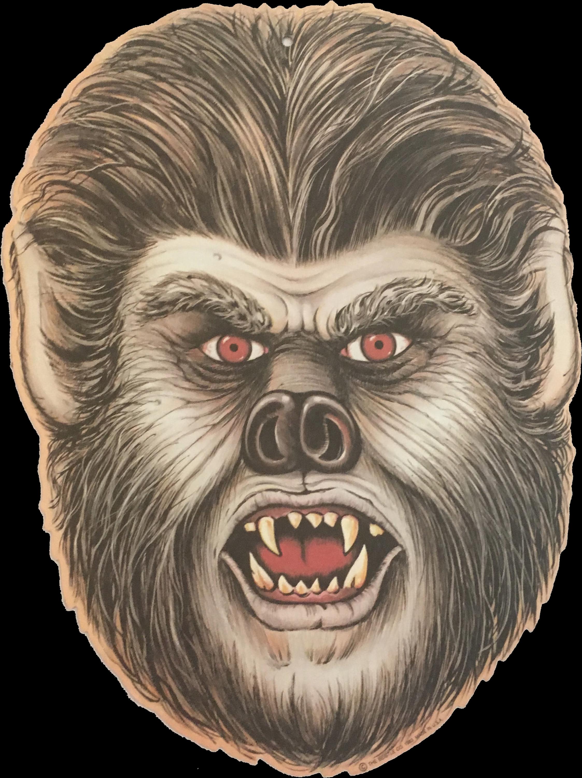 60s AKOM WOLF MAN 半袖スウェット　狼男　転写紙　ヴィンテージ il_fullxfull.6873516630_deux.jpg