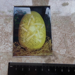 Ostara Pentagram or Pentacle Egg  Refrigerator Magnet