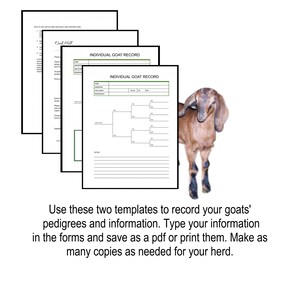 Goat Pedigree/ID form, fillable form, editable, type in fields, printable image 5