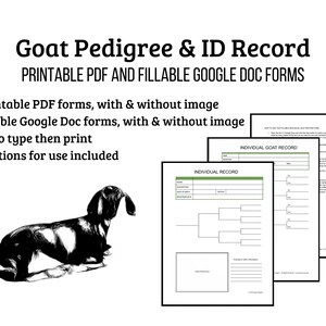 Goat pedigree and ID record forms, samples and black-and-white Nubian goat image. Two pdf's and two Google Doc templates/forms are included, plus directions. Record your goats' pedigree, identication information and add a photo!