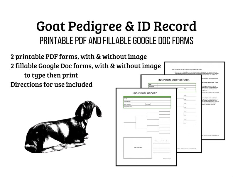 Goat pedigree and ID record forms, samples and black-and-white Nubian goat image. Two pdf's and two Google Doc templates/forms are included, plus directions. Record your goats' pedigree, identication information and add a photo!